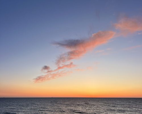 IMG_6492